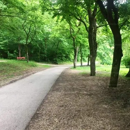 Koloska Apartmanhaz Bed & Breakfast Balatonfured