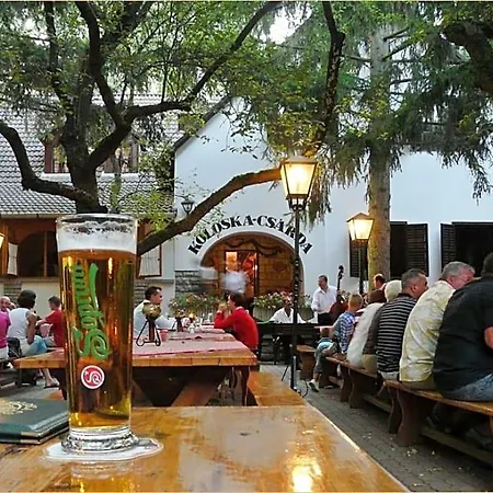 Koloska *